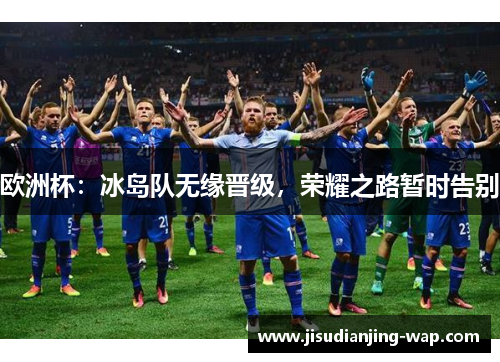 欧洲杯：冰岛队无缘晋级，荣耀之路暂时告别